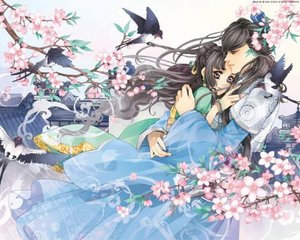 乱来大神迷恋晓彤表妹